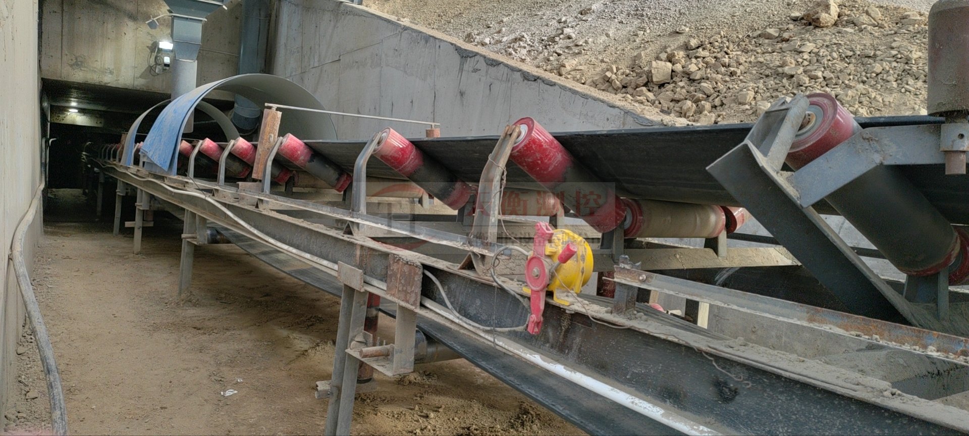 电子丝瓜视频免费在线案例